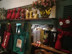 -猫咪博物馆(顶澳仔猫街店)