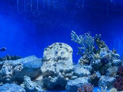 -避尘 Bsense·SPA(新会展总店)