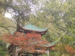 -岳麓山风景名胜区