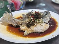 -东鸽皇(奥园·中环广场店)