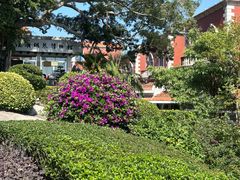 -鼓浪屿钢琴博物馆