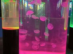 -苏州海洋馆