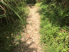 -三爪仑观音岩