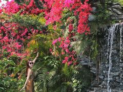 -广州白天鹅宾馆