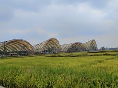 -中国天府农业博览园