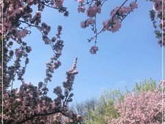 -元大都城垣遗址公园