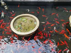 -狼山风景名胜区