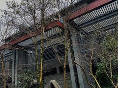 -杭州植物园