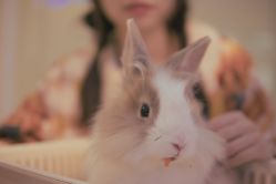 -Moni星球萌宠·小马宝莉·灵蛇·高端高阶全萌宠互动体验俱乐部(红豆国际广场店)