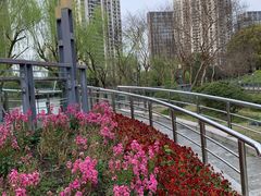 -苏州河梦清园环保主题公园