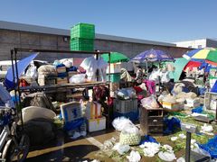 -岳各庄批发市场(西四环中路店)