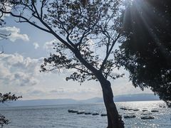 -抚仙湖禄充风景区