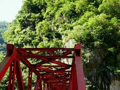 桥与树-太鲁阁公园