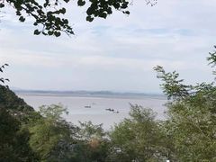 -大鹿岛