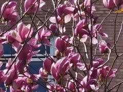 -首都医科大学附属北京友谊医院(西城院区)