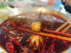 八爪鱼-大龙火锅(老店)