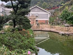 -老幺泉水鸡
