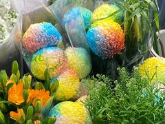 -双季花艺园艺市场(浦东店)