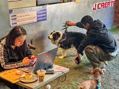 -J Create城市露营咖啡·简餐·宠物(上海动物园店)