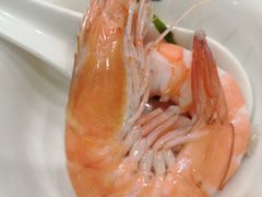 -长平肥姐白粥·海鲜打冷
