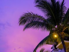 -麦哲伦丝绸度假村