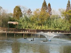 -溱湖国家湿地公园