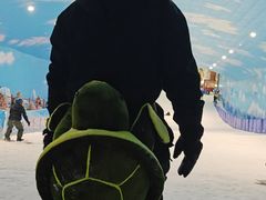 -世界之窗阿尔卑斯冰雪世界