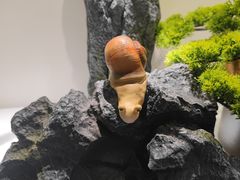 -西北轻工批发市场