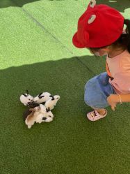 -萌宠亲子动物乐园(槐房万达店)