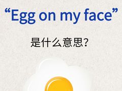 -JT PREP国际学科课程·IB·AP·Alevel(陆家嘴校区)