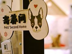 -Oh My Dog宠物沙龙(伊珊娜皮毛护理店)