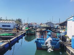 -蓝湾碧波·老字号·疍家非遗海上餐厅