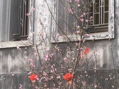 -圣约瑟夫大教堂