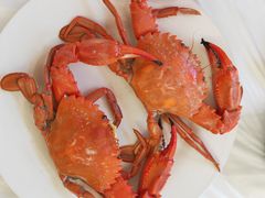 -宾朋海鲜饭庄(兴海路店)