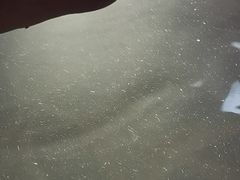 -春晖园度假酒店温泉