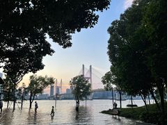 -武昌江滩