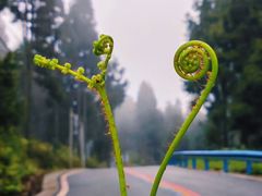 -干老四雅鱼饭店(滨江西路店)