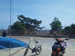-鲸鱼先生·海鲜烤肉海景餐厅