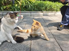 -晓港公园
