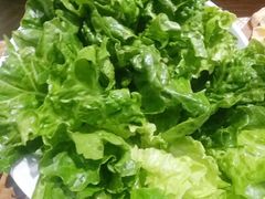 潮汕生菜-汕头八合里海记牛肉店(清河店)