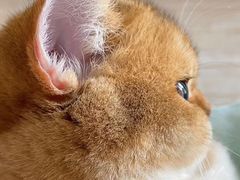 -中国医学科学院皮肤病医院