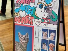 -Seesaw Coffee(朝阳大悦城店)