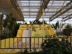 -南宫五洲植物乐园