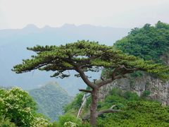 -圣莲山风景区