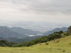-大姆山草场