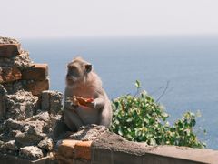 -乌鲁瓦图寺