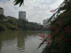 -曼听御花园