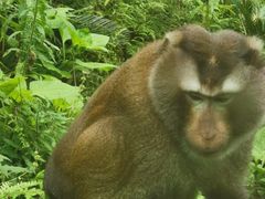 -黔灵山公园