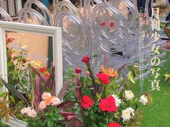 -香蜜轩·粤菜·宴会(世界之窗店)