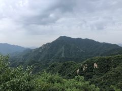 -大岭沟猕猴桃谷风景区